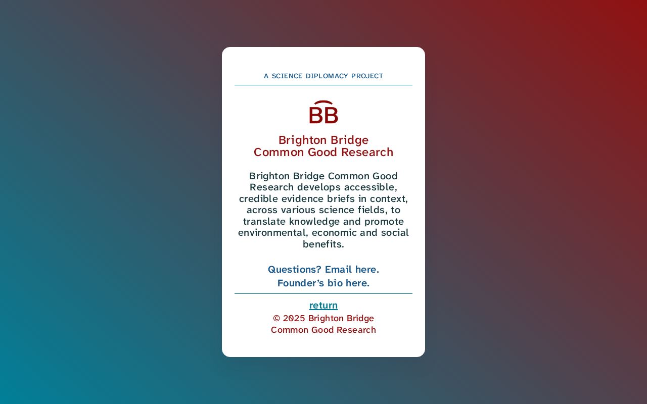 Brighton Bridge Common Good Research